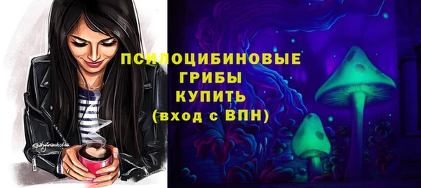 твердый Алексеевка