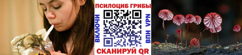 Псилоцибиновые грибы прущие грибы где купить наркотик кракен ТОР Ревда